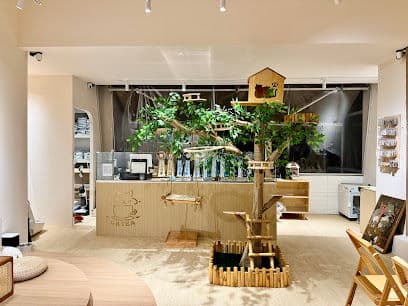 Catea - Resident Cat Cafes