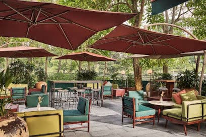 Publico Ristorante - Dog Cafes