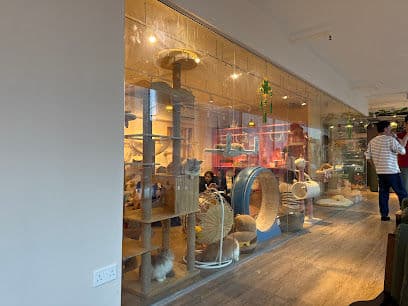 QQ Cats and Cafe - Resident Cat Cafes