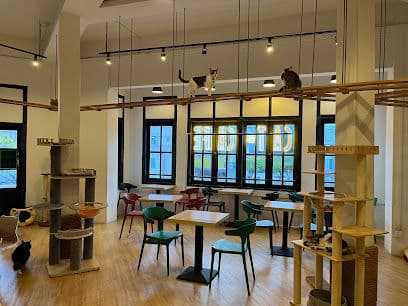 The Cat Cafe - Bugis - Resident Cat Cafes