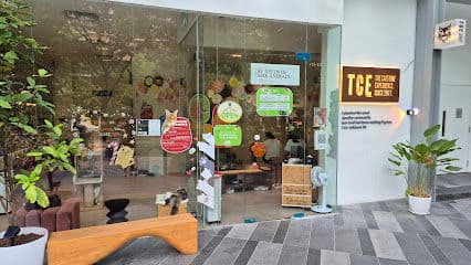 The Cat Experience | TSV - Resident Cat Cafes