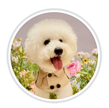 EMPIRE GRILL By Bibi