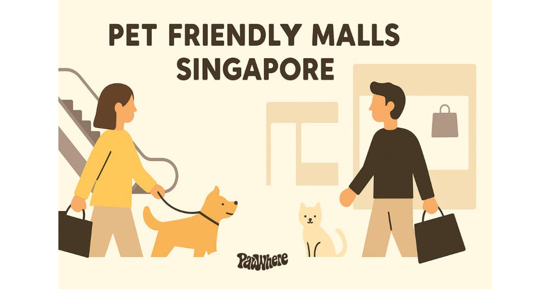 Pet Friendly Malls Singapore | Shop with Your Pets