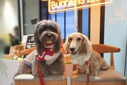 Creamier Handcrafted Ice Cream and Coffee (East Coast) By Junior and Taro