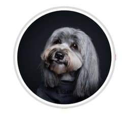 Teck Ee Seafood By Junior