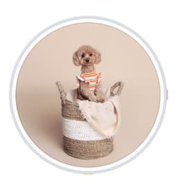 Bailey & Patch Pet Cafe By Kara
