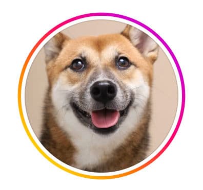 Surrey Hills Grocer - One Holland Village By Kare