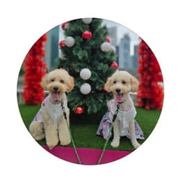 Four Heavenly Kings 烧腊 By Koko & Honey