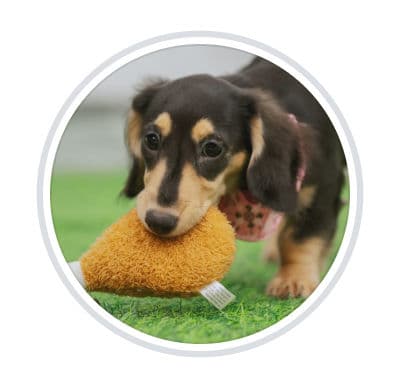 The Cafe & Bar By Luna