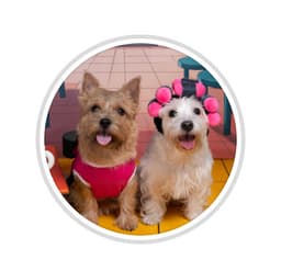 Nayana+ Kpop Cafe & Restaurant By MilkChocolateTerriers