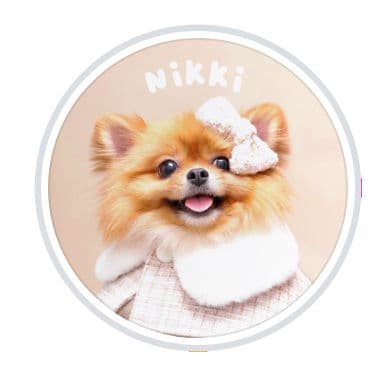 Xiangyee Hunan Cuisine By Nikki