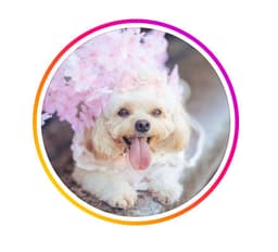 Chuan Kee Seafood By Phoebe