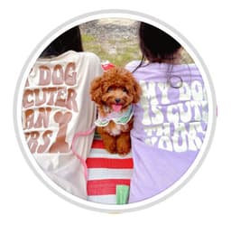 Sanctuary Tearoom By Pudding