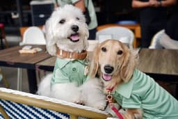 TAG Restaurant & Bar By Taro and Mochi