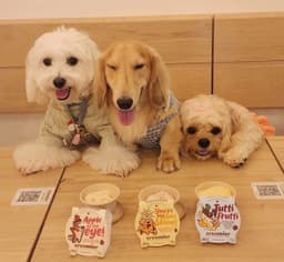 Creamier Handcrafted Ice Cream and Coffee (East Coast) By Phoebe, Mochi and Taro