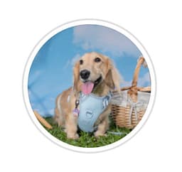 Surrey Hills Grocer - VivoCity By Taro