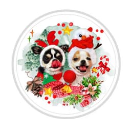 Open Farm Community By Yoda & Leia