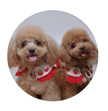 Baby Hotpot 👶🏻 By Yumi & Layla